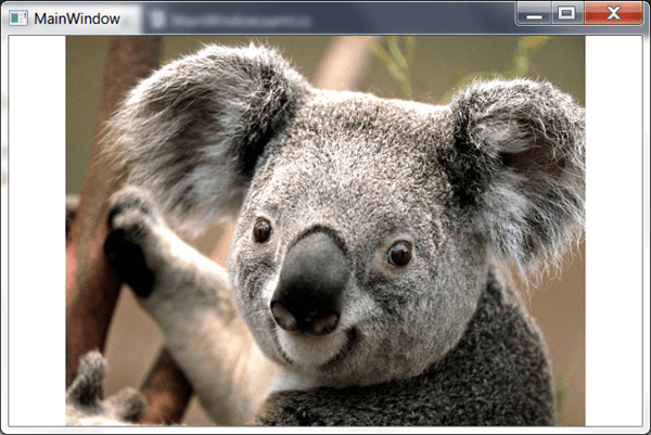 מדריך WPF – הצגת תמונה וקטע וידאו