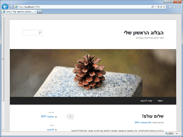 וורדפרס WebMatrix וובמטריקס